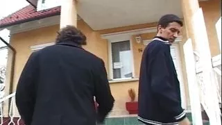 Italian Foal in Budapest