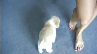 My name is Sarka an exhibitionist blonde model with natural