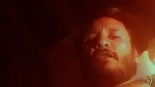 davydwolf69 live show