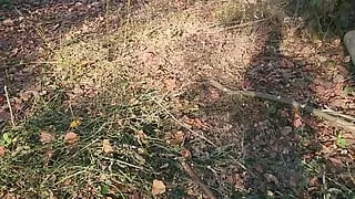 Walking near the highway