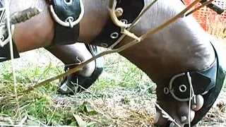 Transettone da combattimento da inculare - Episode 1