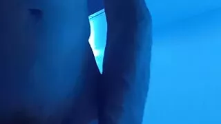 DESTROYING my favorite sex toy