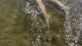 Unfaithful wife humiliates her husband on the beach