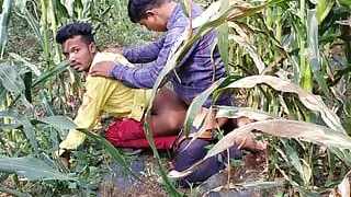 Indian Desi Movies - A laborer working in a corn field fucked his partner's ass - Hindi Voice