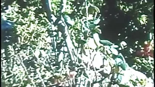 Well-shaped mulatto chick plays cock on her bed at home