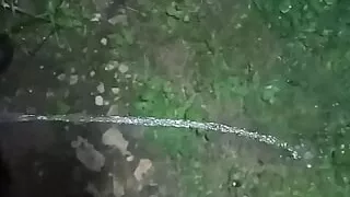 Wouldn't you wish to drink my piss