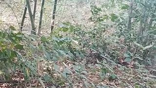 Vullage girl insexy.girl forest