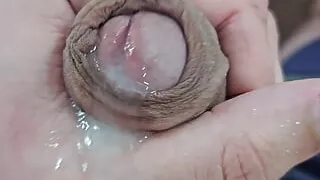 can you suck my cock?