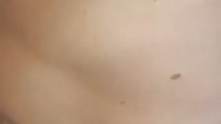 Isabell Kitty neon color