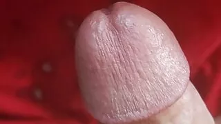 New video 2023-11-09 16:55:31