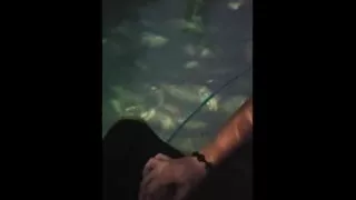 Naughty milf giving handjob to step son