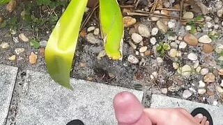 Outdoor pissing with a boner last summer