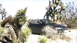 A super hot blonde from Germany gets fucked in every hole she got