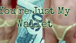 You're Just My Wallet