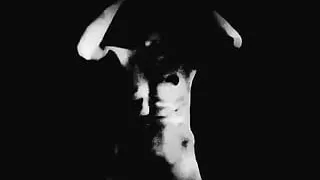 British Freddie Sunfields in Extreme Black-White Lights