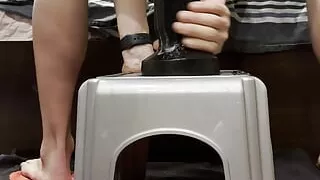 T-Rex, Boss Hogg and Crackers the Cockatrice part Nr.2