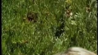 Tan, blonde lesbians toy each others pussies in the sand dunes