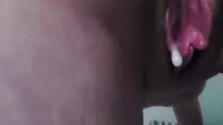 johnholmesjunior creampies deep inside Ananas Films star Michaela McKenzie's tight pussy