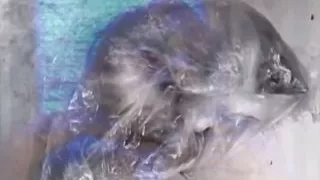 Cum Runs Down This Blonde Sluts Mouth When These Two Guys Are Done with Her