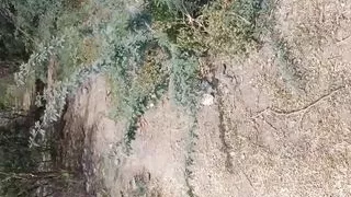 Bridge nichey chudayi outdoor village sex