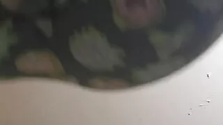 Snowbunnycake_131 video