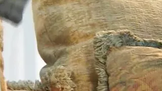 Theres No Sweeter Deal for a Photographer Than to Fuck His Model in the Ass