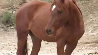 POV squirt alert - Episode #18