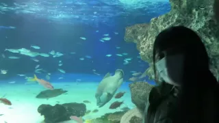 0002344_デカチチのスレンダーニホンの女性がハードピストンされるズコバコ