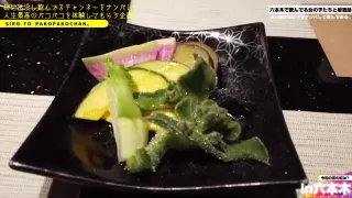 0004138_Japanese_Censored_MGS_19min