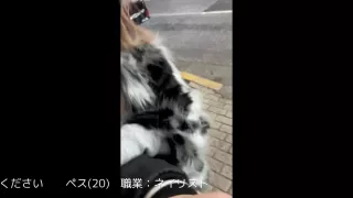 0004123_Japanese_Censored_MGS_19min