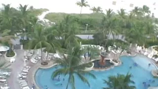 One stunning chick with her perfect sucking skills