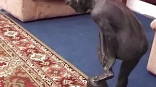 Tanta Voglia di LUSSURIA! Vol.2 - Episode 3