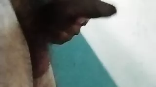 Male penis, Straight lund