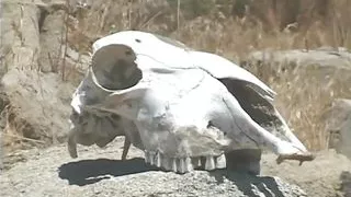 Superior Whores with Perfect Bodies Are Blowing Cocks on the Rocks Outdoor