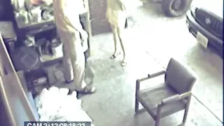 Secret garage slut gets fucked