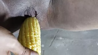 In desperation for dick