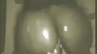 My New Friend Queen Loves Riding