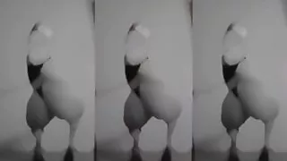 My ass owns you bitch