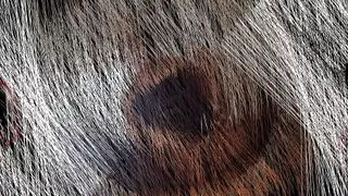 Babalonia, hot babe! xx