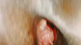 Muslim aunty neighbour