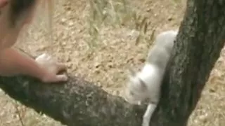 Outdoor Fun With Amateurs In Europe