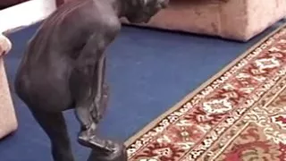 Lussuria Senza Freni - Episode 2