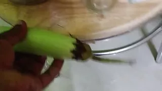 Bringal in mallus ass