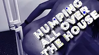 Humping All Over the House HUMP Everything in Sight!