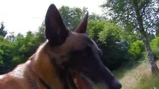 Perky tits bounce around as a hard dicks pounds this brunettes asshole outdoors