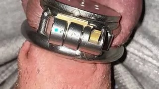 Close up flat chastity cage with urethral plug play