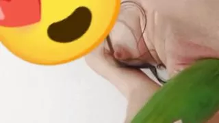 An Egyptian Labwa From alexandria