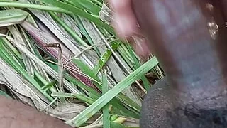 Desi hot land jagal me magal