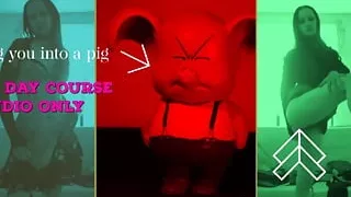 Learn How to Be a Pig the 5 Day Course Sniff Oink JOI All Pics Are Me