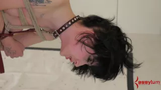 Dominated and bound BDSM fetish babe